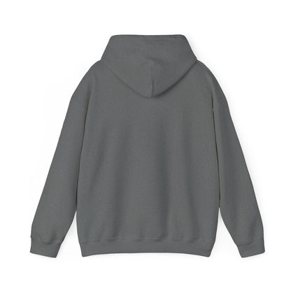 Eurostar EV97 Captain Cool Unisex Heavy Blend™ Hooded Sweatshirt - Funky Aviation