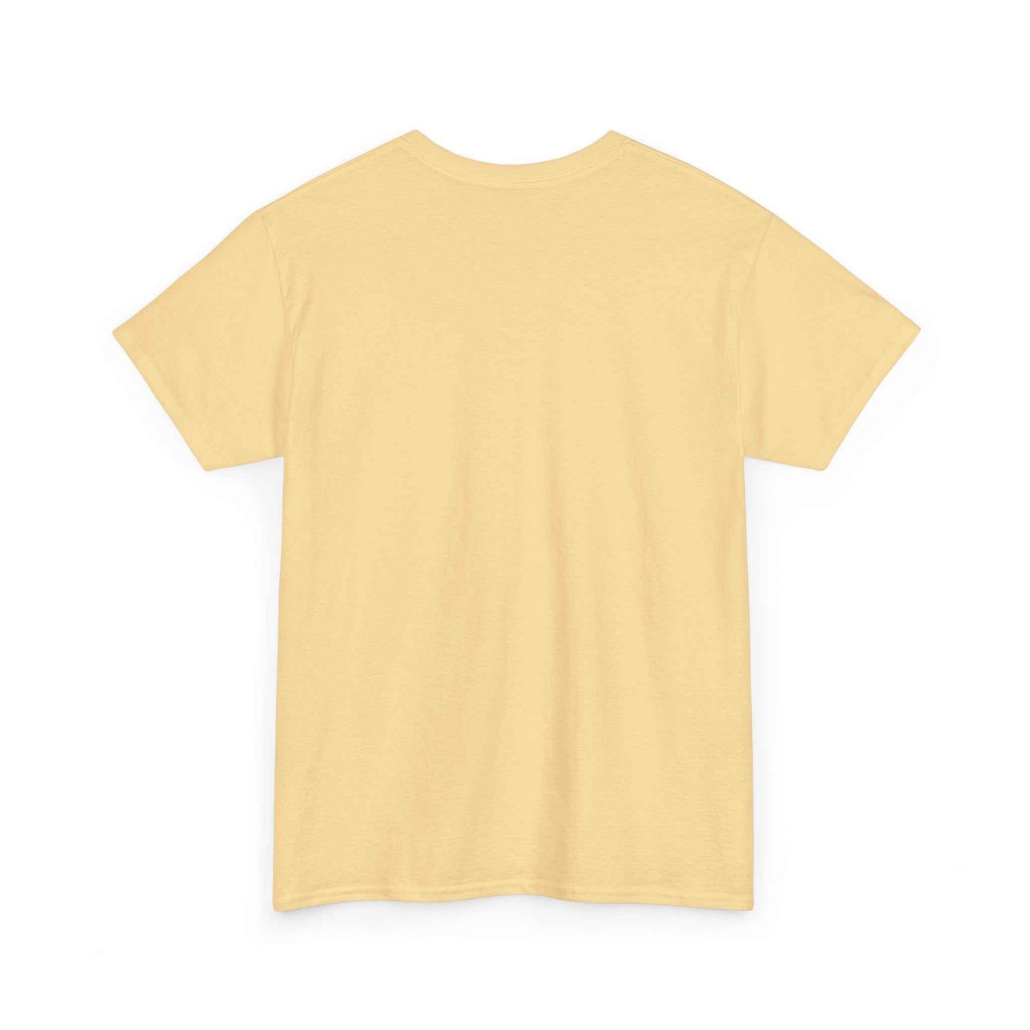 Pitts Special Biplane T-Shirt — Vintage Airshow Pilot Tee