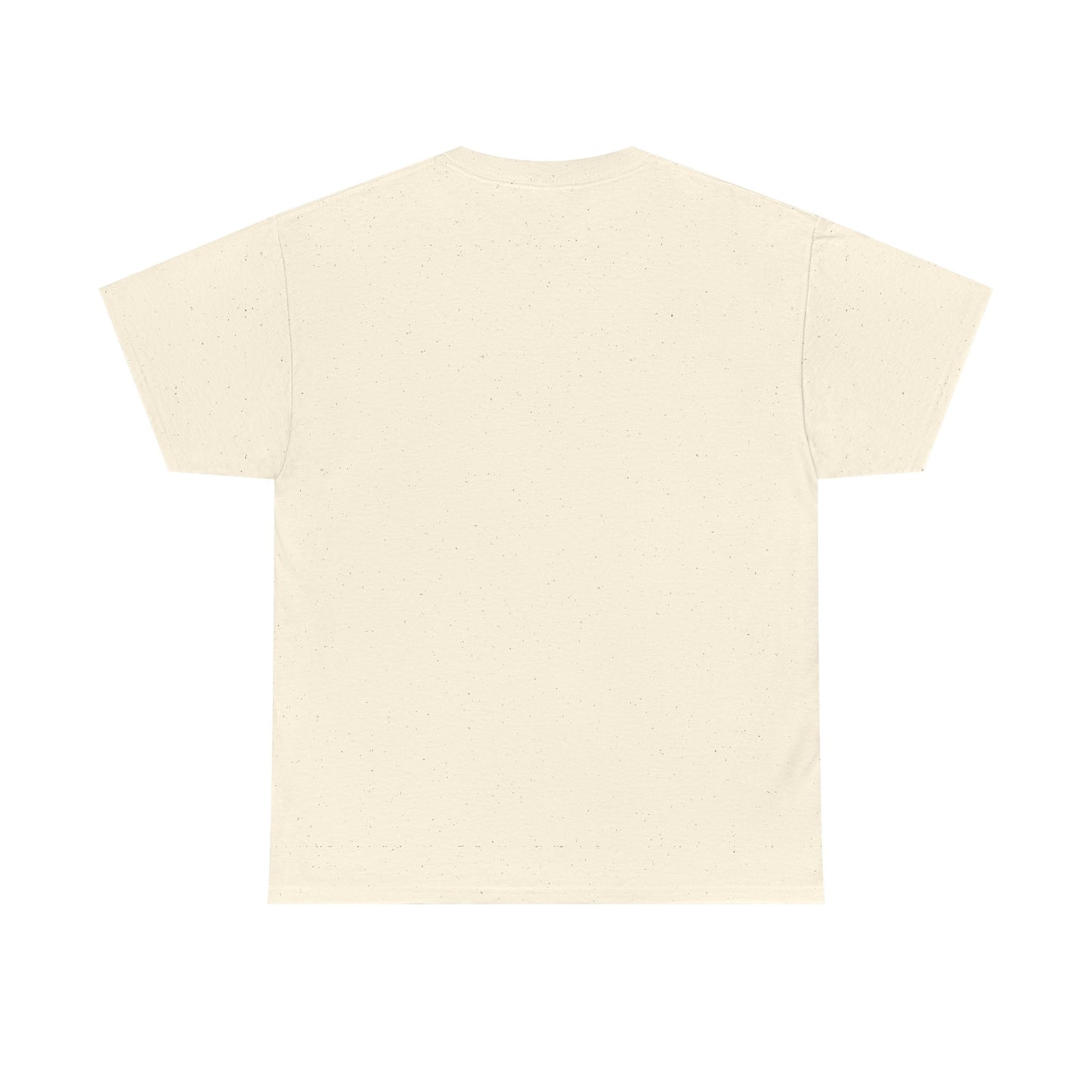 No Drone Zone T-Shirt — Vintage Warning Sign Tee