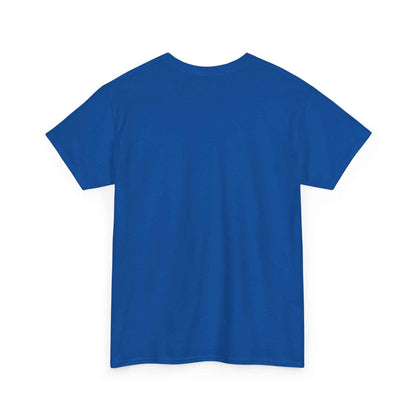 Pitts Aerobatic - Vintage Airplane Shirt for Pilots & Aviation Fans