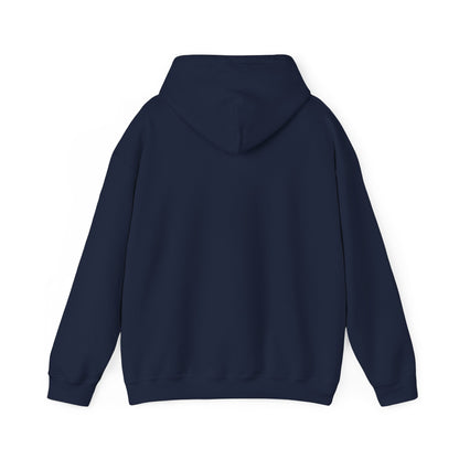 This little Piggy Pilot design Unisex Hoodie - Funky Aviation