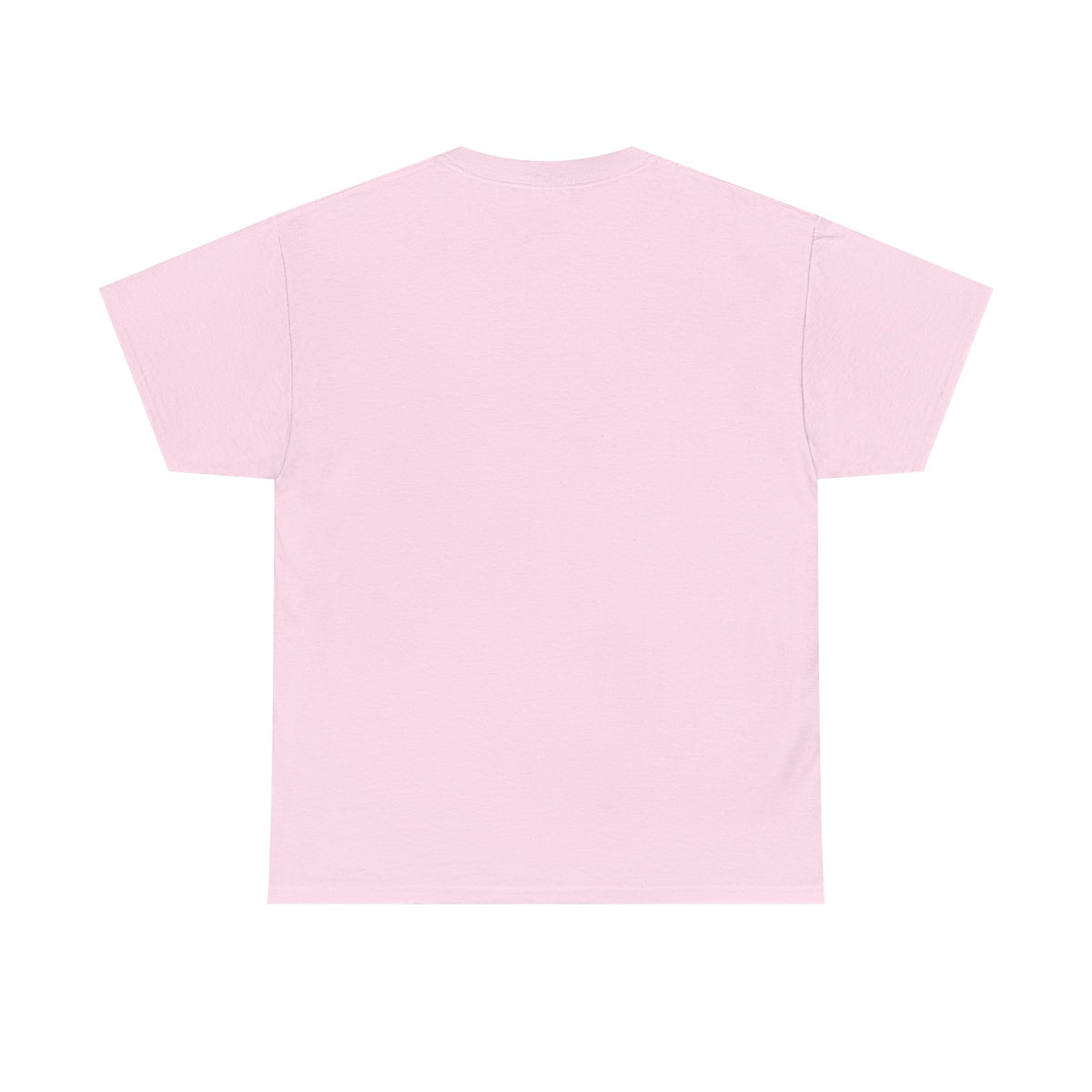 Chipmunk Vintage Airplane Tee — "80 Years" Commemorative Aviation Shirt