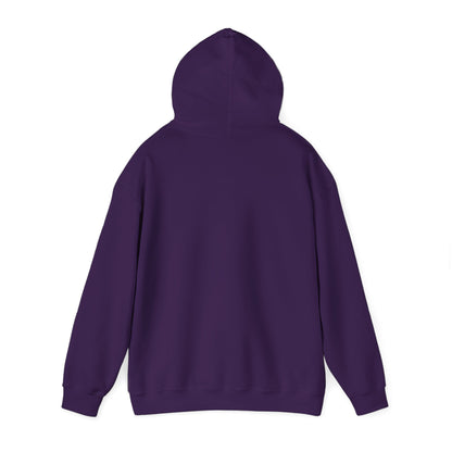 Eurostar EV97 Captain Cool Unisex Heavy Blend™ Hooded Sweatshirt - Funky Aviation