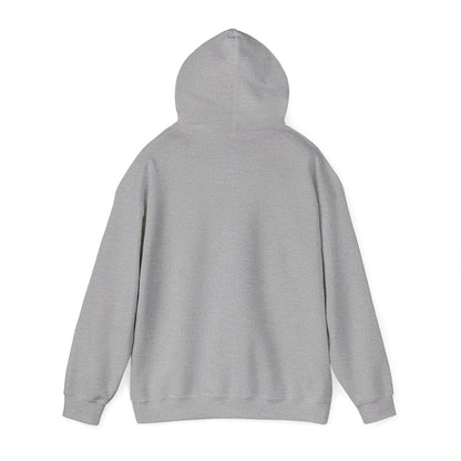 The Older the Better Classic Airplane Hoodie