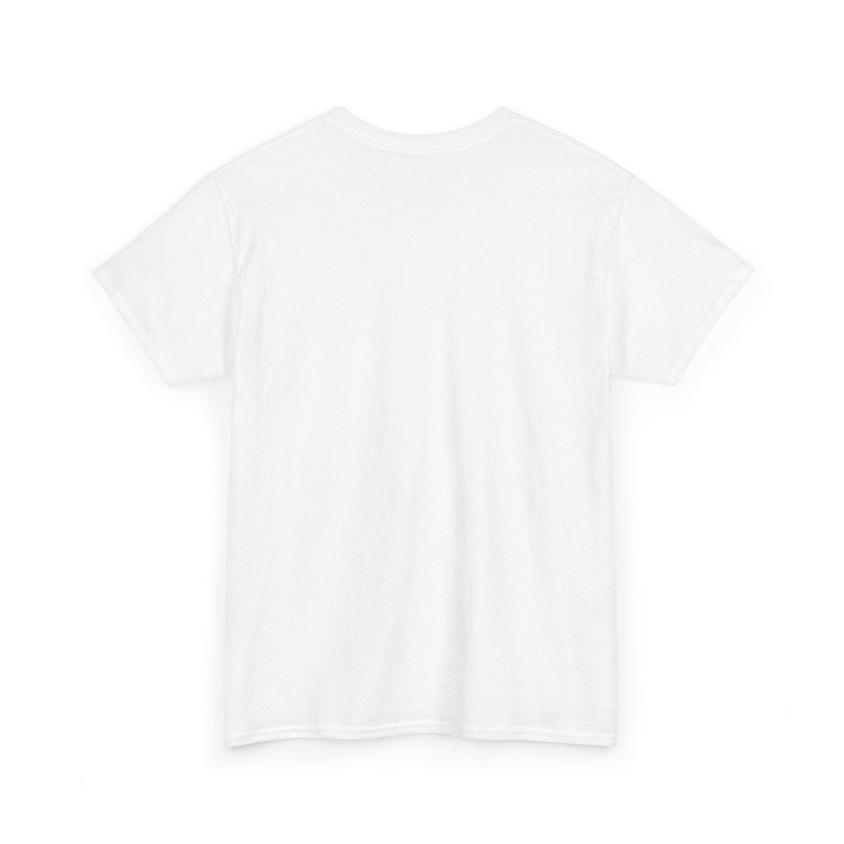 Chipmunk Vintage Airplane Tee — "80 Years" Commemorative Aviation Shirt