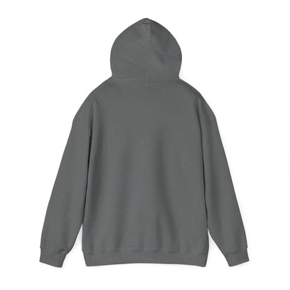 Eurostar EV97 Captain Cool Unisex Heavy Blend™ Hooded Sweatshirt - Funky Aviation