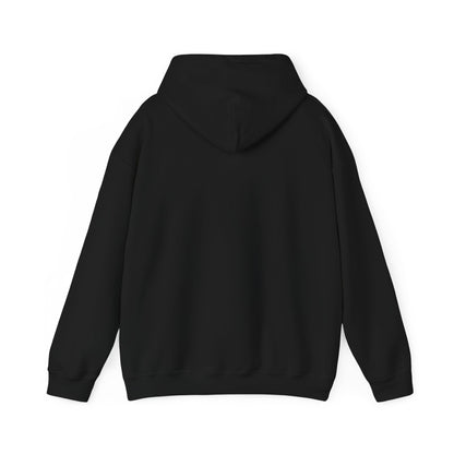 Eurostar EV97 Captain Cool Unisex Heavy Blend™ Hooded Sweatshirt - Funky Aviation