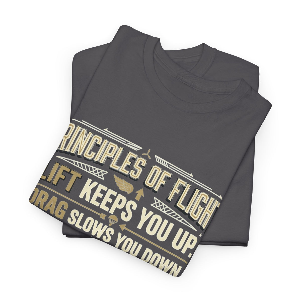 Pilot Instructor T‑Shirt — “Principles of Flight” Aviation Gift