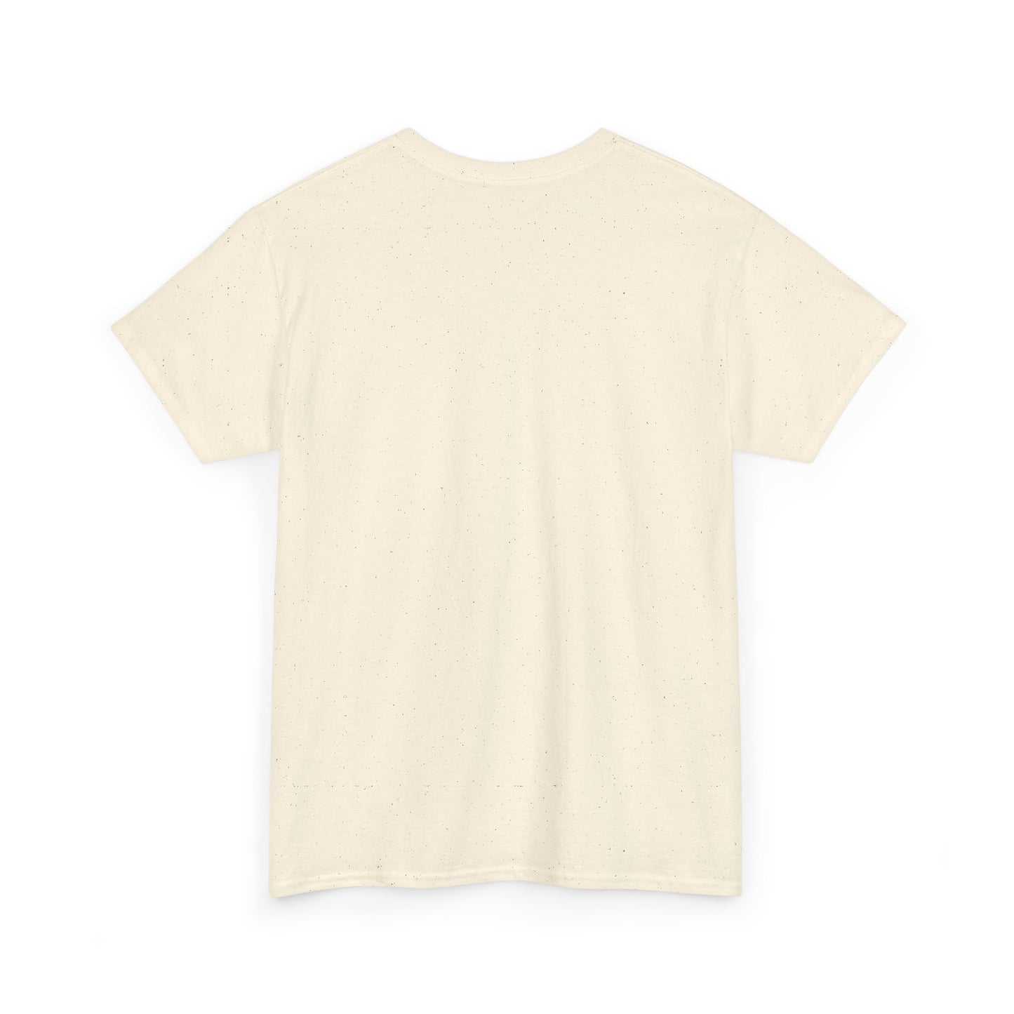 No Drone Zone T-Shirt — Vintage Warning Sign Tee