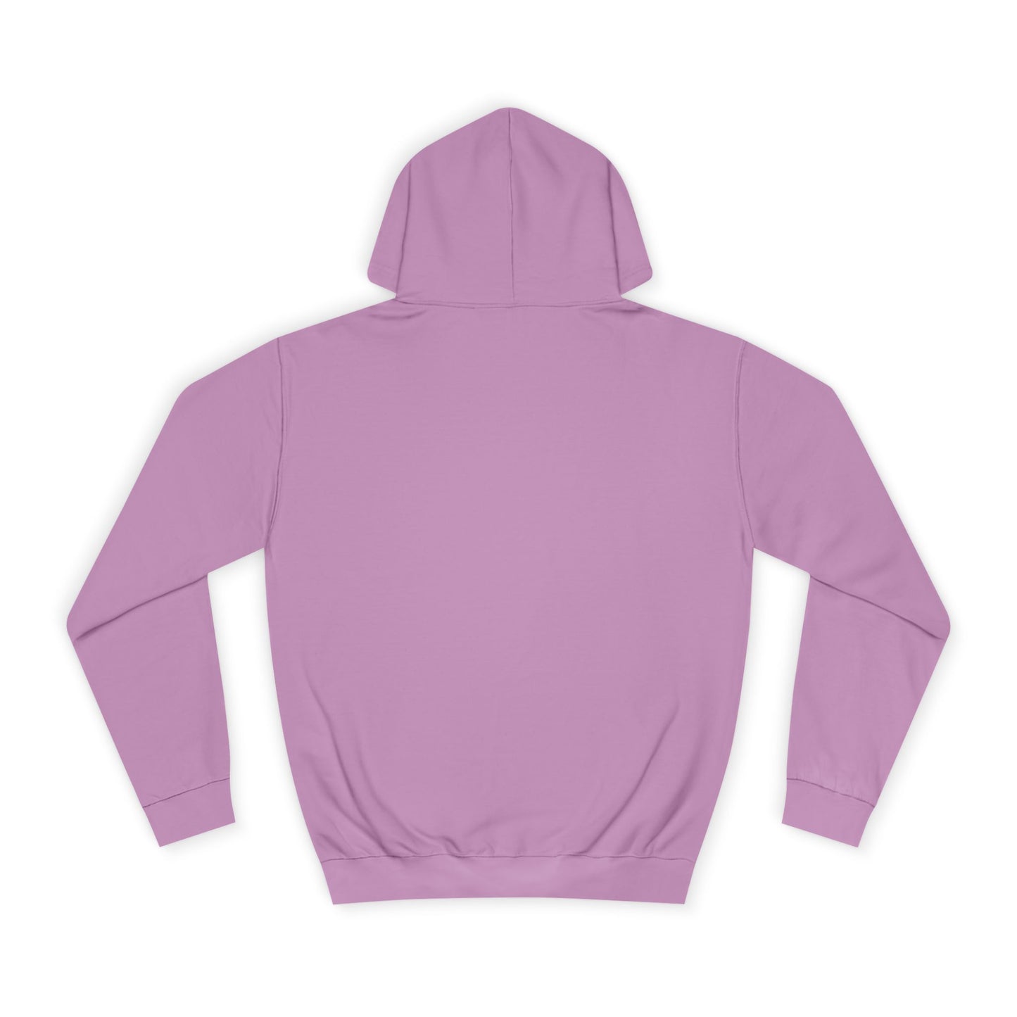 College Hoodie - LAC Flying School Logo