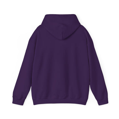 Eurostar EV97 Captain Cool Unisex Heavy Blend™ Hooded Sweatshirt - Funky Aviation