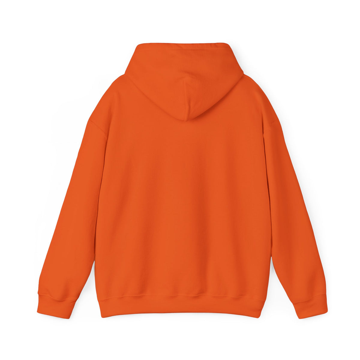The Older the Better Classic Airplane Hoodie