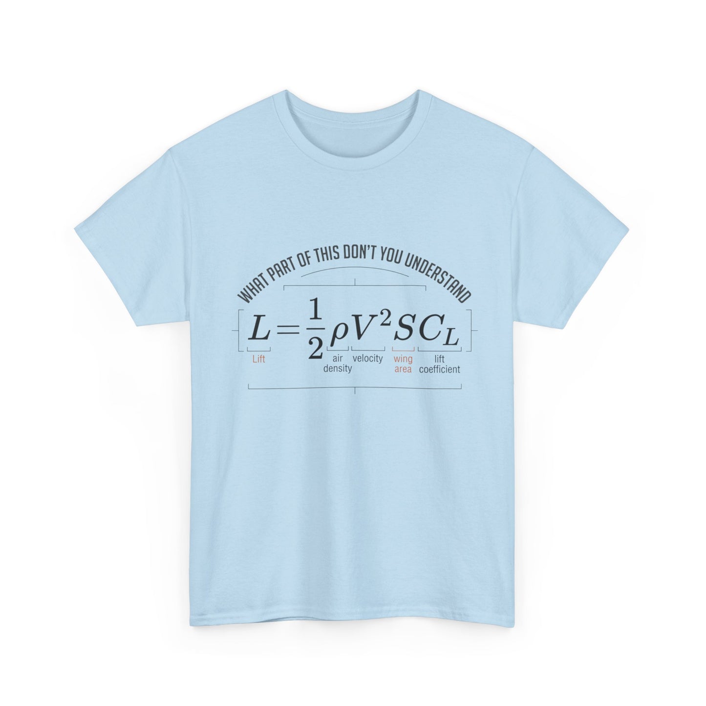 Physics Formula T-Shirt – “What Part of This Don’t You Understand?” Tee