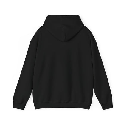 This little Piggy Pilot design Unisex Hoodie - Funky Aviation
