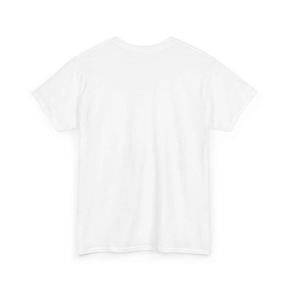 Pitts Aerobatic - Vintage Airplane Shirt for Pilots & Aviation Fans