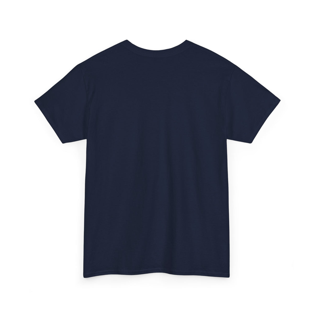 Pitts Aerobatic - Vintage Airplane Shirt for Pilots & Aviation Fans