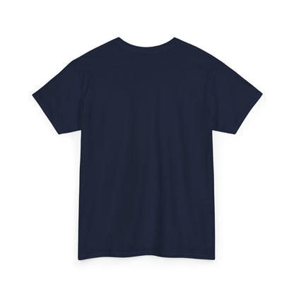 Pitts Aerobatic - Vintage Airplane Shirt for Pilots & Aviation Fans