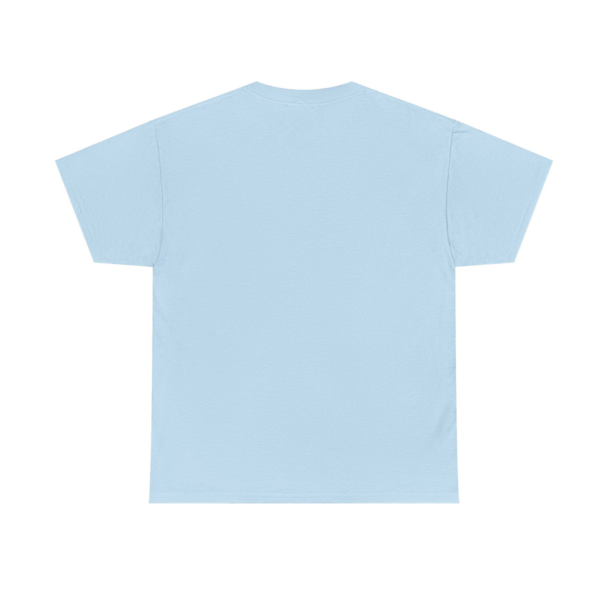 Pitts Aerobatic - Vintage Airplane Shirt for Pilots & Aviation Fans