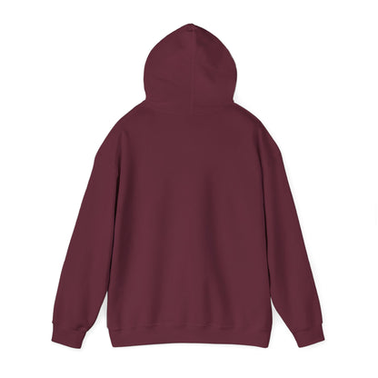 Auto Gyro Helicopter Hoodie