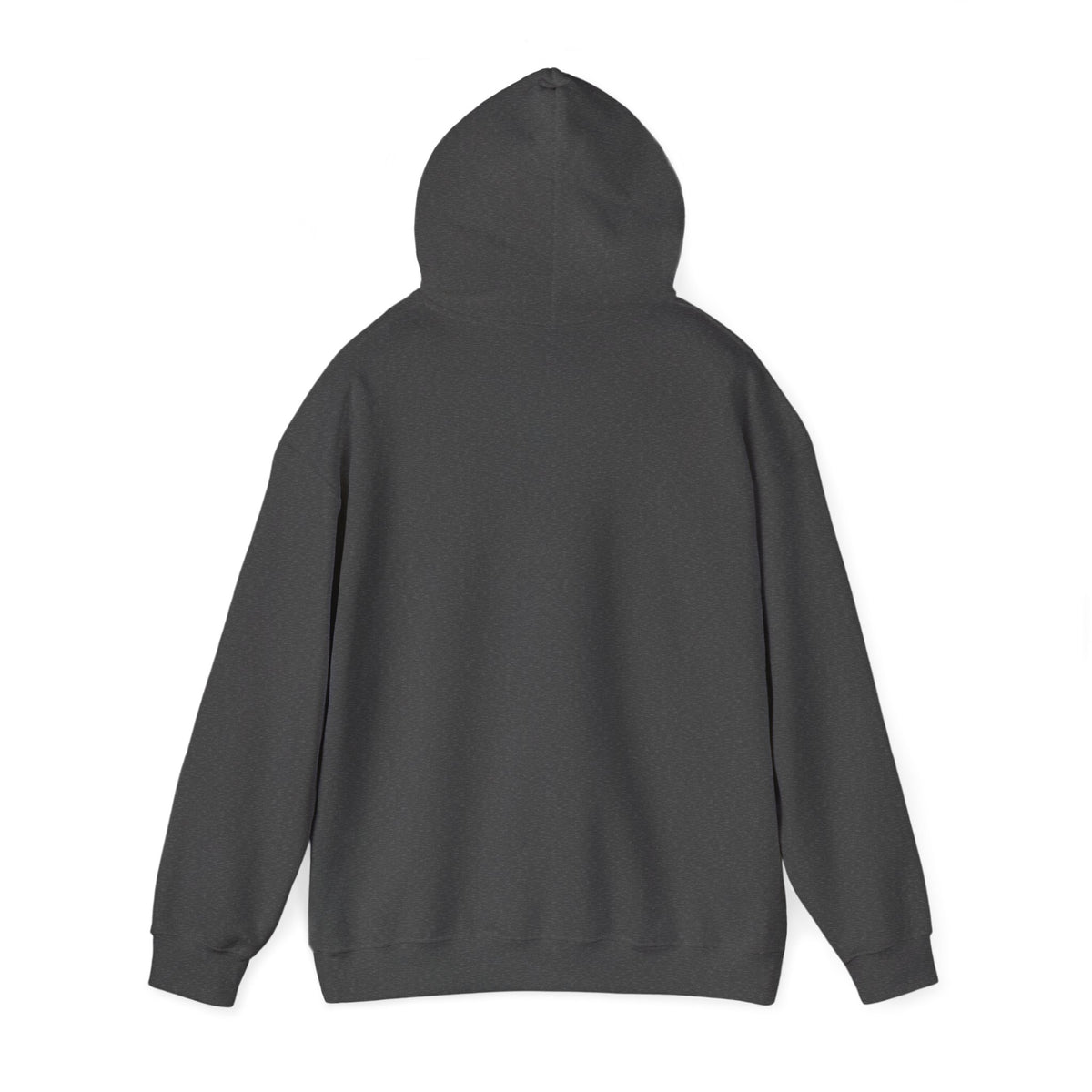 Pilot Instructor Hoodie — "Principles of Flight" Aviation Quote Hooded Sweatshirt