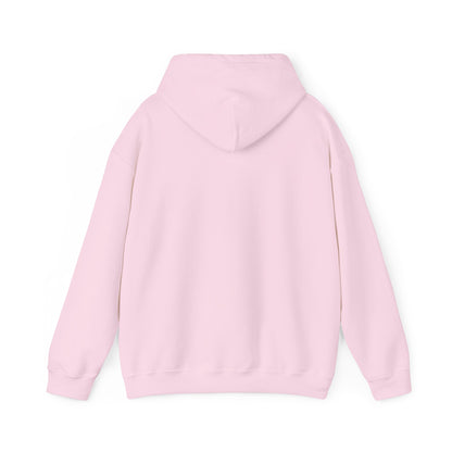 This little Piggy Pilot design Unisex Hoodie - Funky Aviation