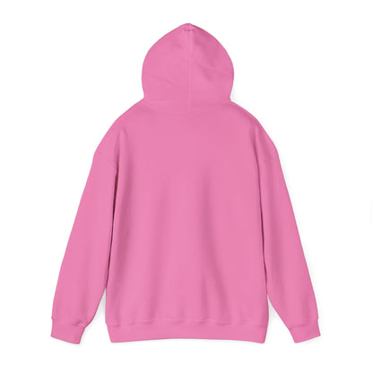Eurostar EV97 Captain Cool Unisex Heavy Blend™ Hooded Sweatshirt - Funky Aviation