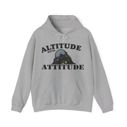 Altitude With Attitude Fighter Pilot Mountain Hoodie