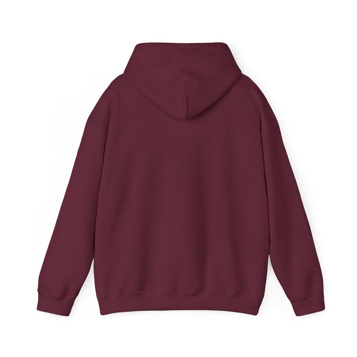 Altitude With Attitude Fighter Pilot Mountain Hoodie