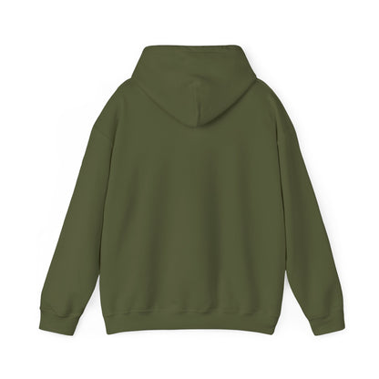 Eurostar EV97 Captain Cool Unisex Heavy Blend™ Hooded Sweatshirt - Funky Aviation