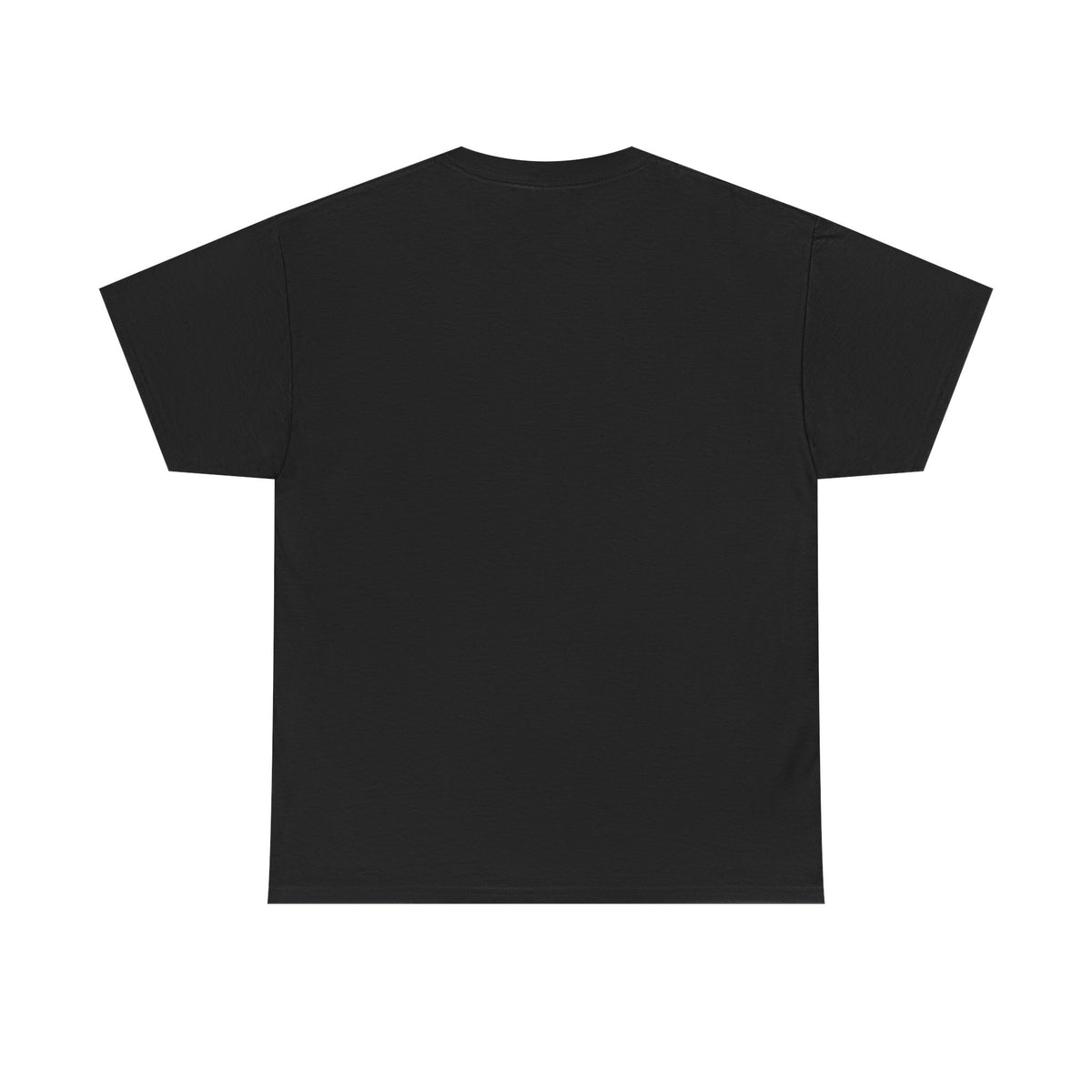 Pitts Aerobatic - Vintage Airplane Shirt for Pilots & Aviation Fans