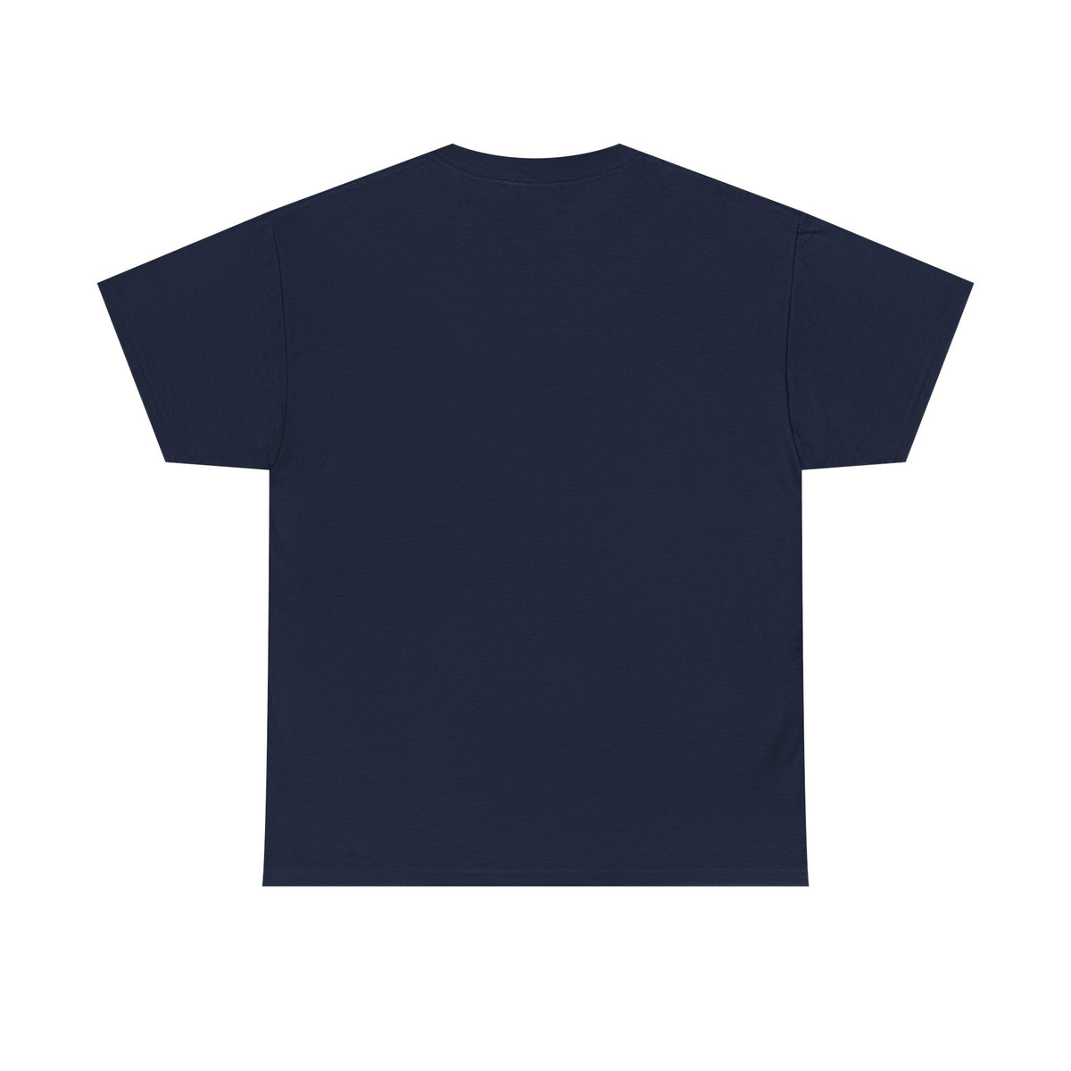 Chipmunk Vintage Airplane Tee — "80 Years" Commemorative Aviation Shirt
