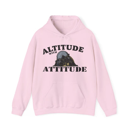 Altitude With Attitude Fighter Pilot Mountain Hoodie