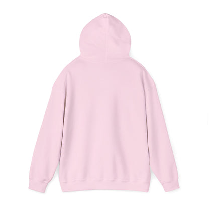 Sea Vixen Vintage Aircraft Graphic Hoodie
