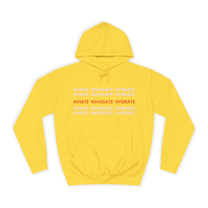 Aviate Navigate Hydrate Unisex Hoodie