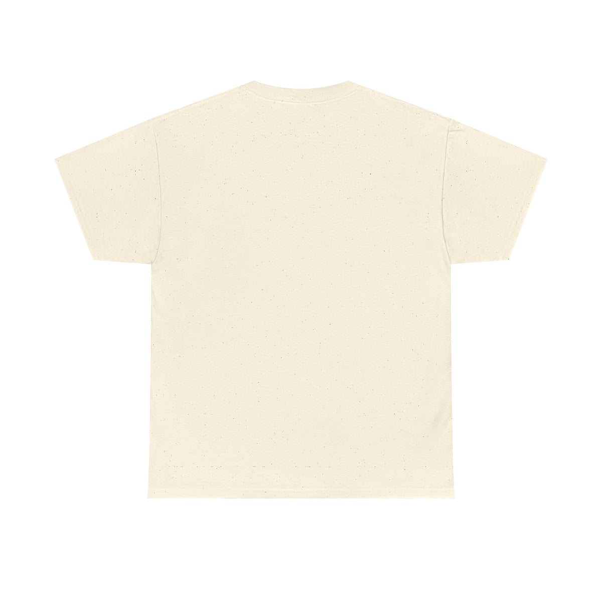 Chipmunk Vintage Airplane Tee — "80 Years" Commemorative Aviation Shirt