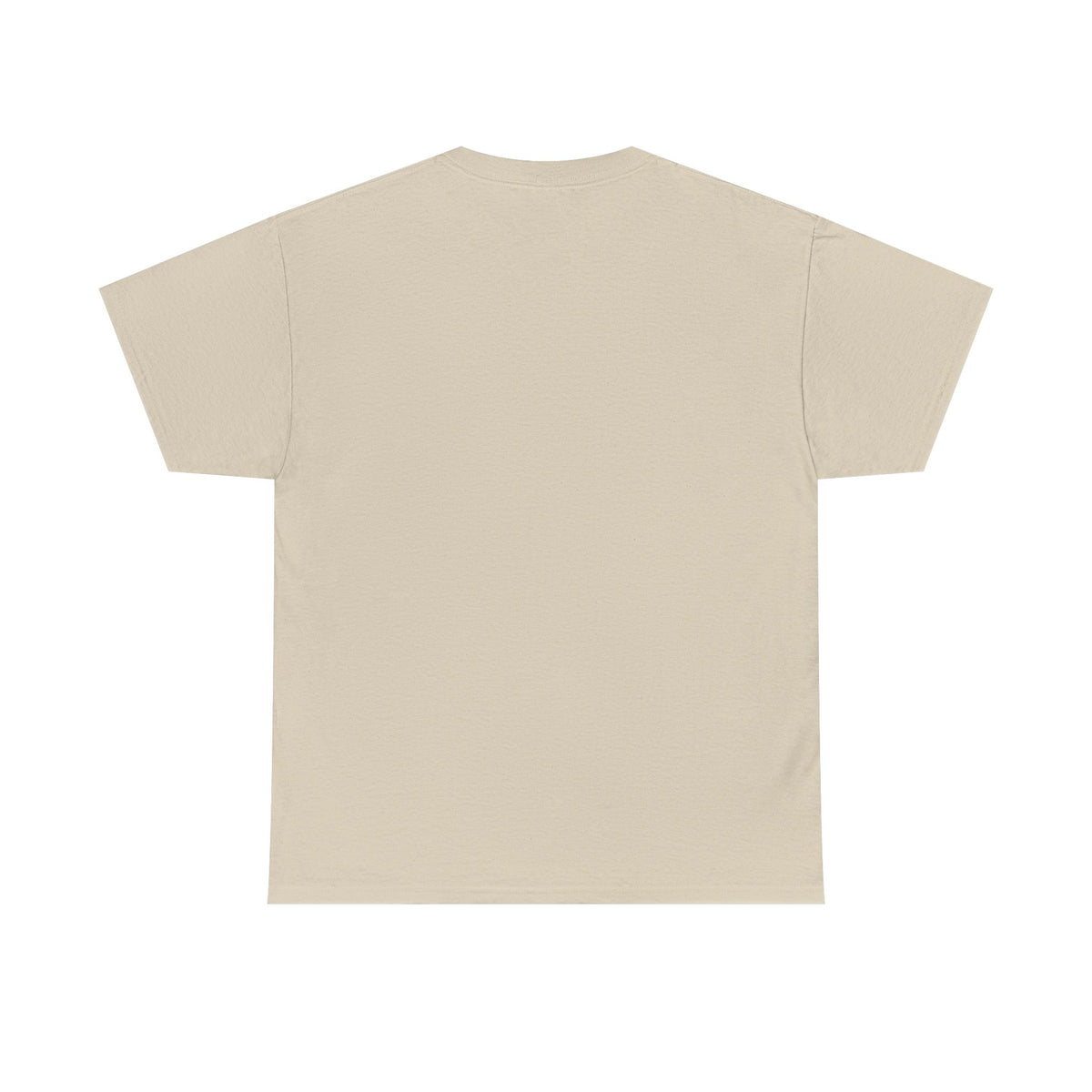 Chipmunk Vintage Airplane Tee — "80 Years" Commemorative Aviation Shirt