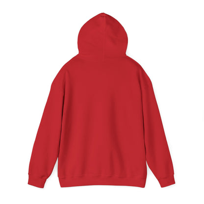 Eurostar EV97 Captain Cool Unisex Heavy Blend™ Hooded Sweatshirt - Funky Aviation