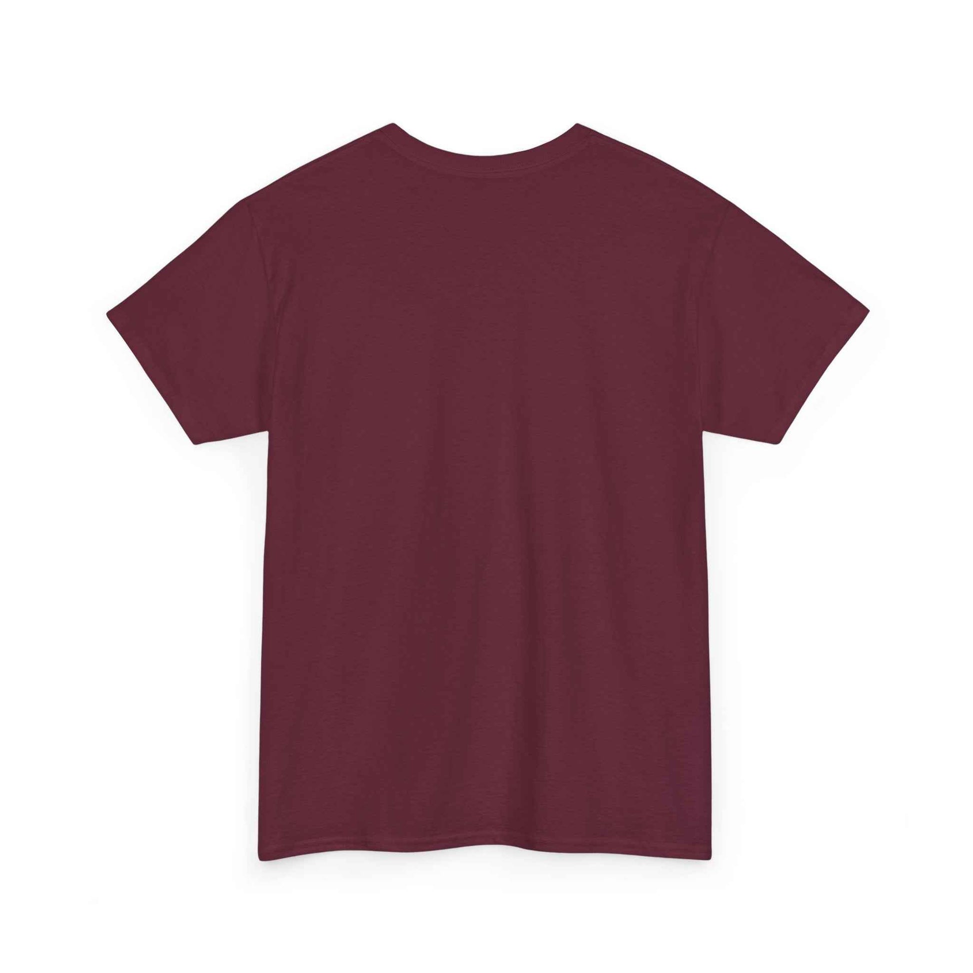 Pitts Special Biplane T-Shirt — Vintage Airshow Pilot Tee