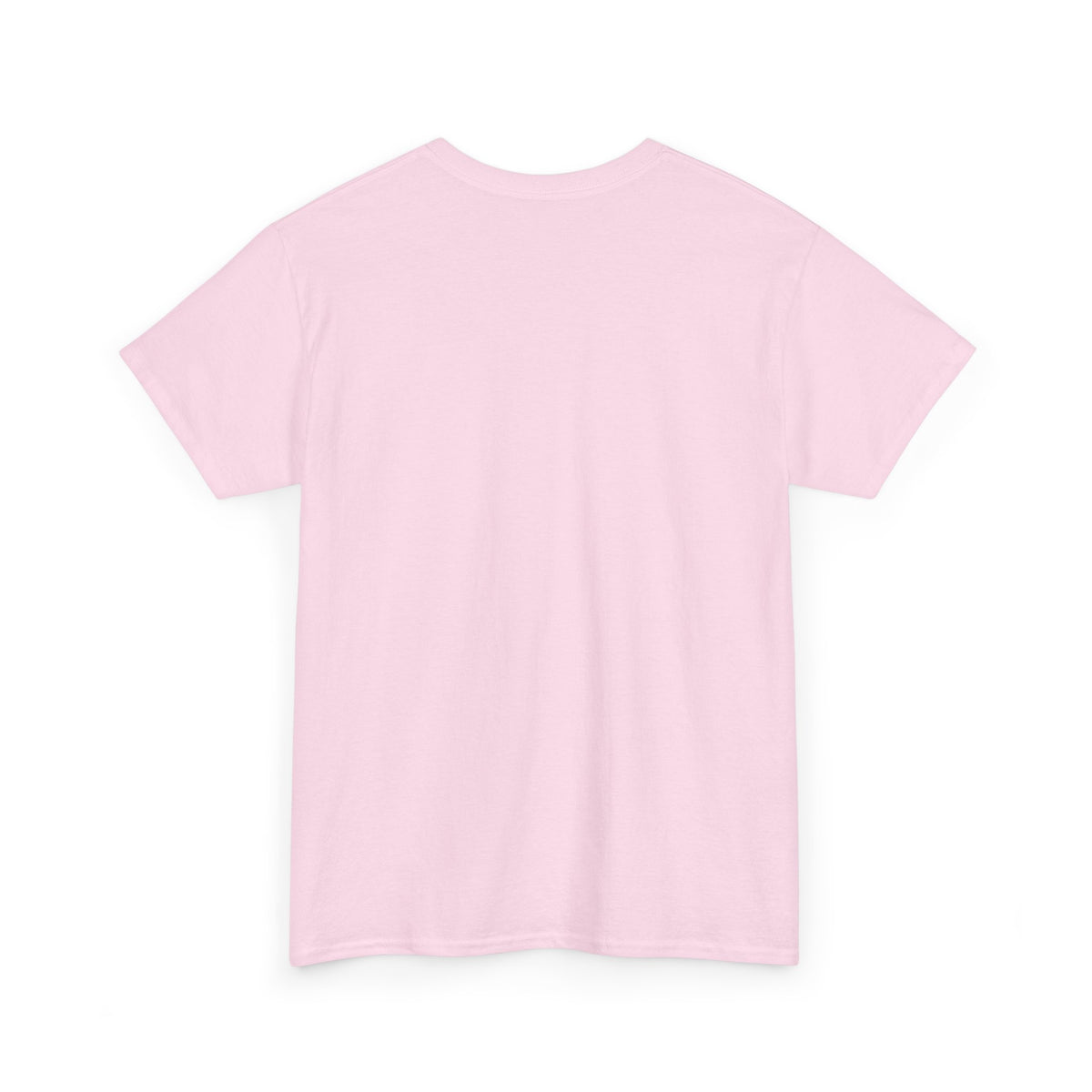 Chipmunk Vintage Airplane Tee — "80 Years" Commemorative Aviation Shirt