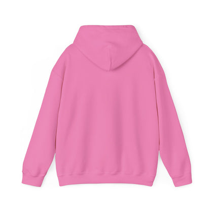 Eurostar EV97 Captain Cool Unisex Heavy Blend™ Hooded Sweatshirt - Funky Aviation