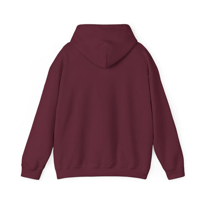Auto Gyro Helicopter Hoodie