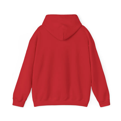Eurostar EV97 Captain Cool Unisex Heavy Blend™ Hooded Sweatshirt - Funky Aviation