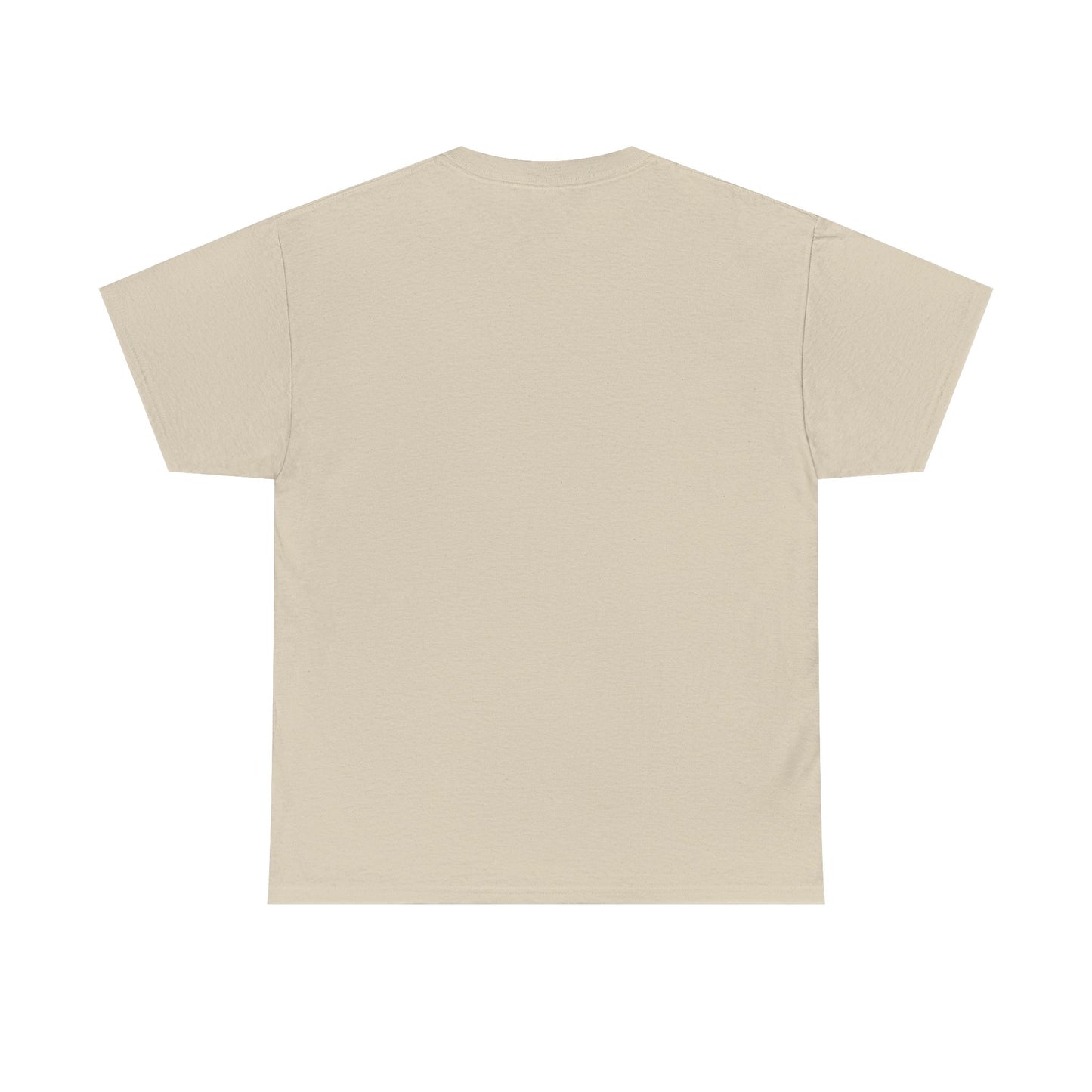 Aviation Vintage Biplane T-Shirt – "In the Fresh Air Not the Armchair" Retro Pilot Tee