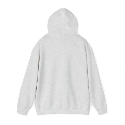 Eurostar EV97 Captain Cool Unisex Heavy Blend™ Hooded Sweatshirt - Funky Aviation