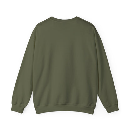 Aviation Crewneck Sweatshirt – "Fluent Turbulence" Vintage Pilot Graphic