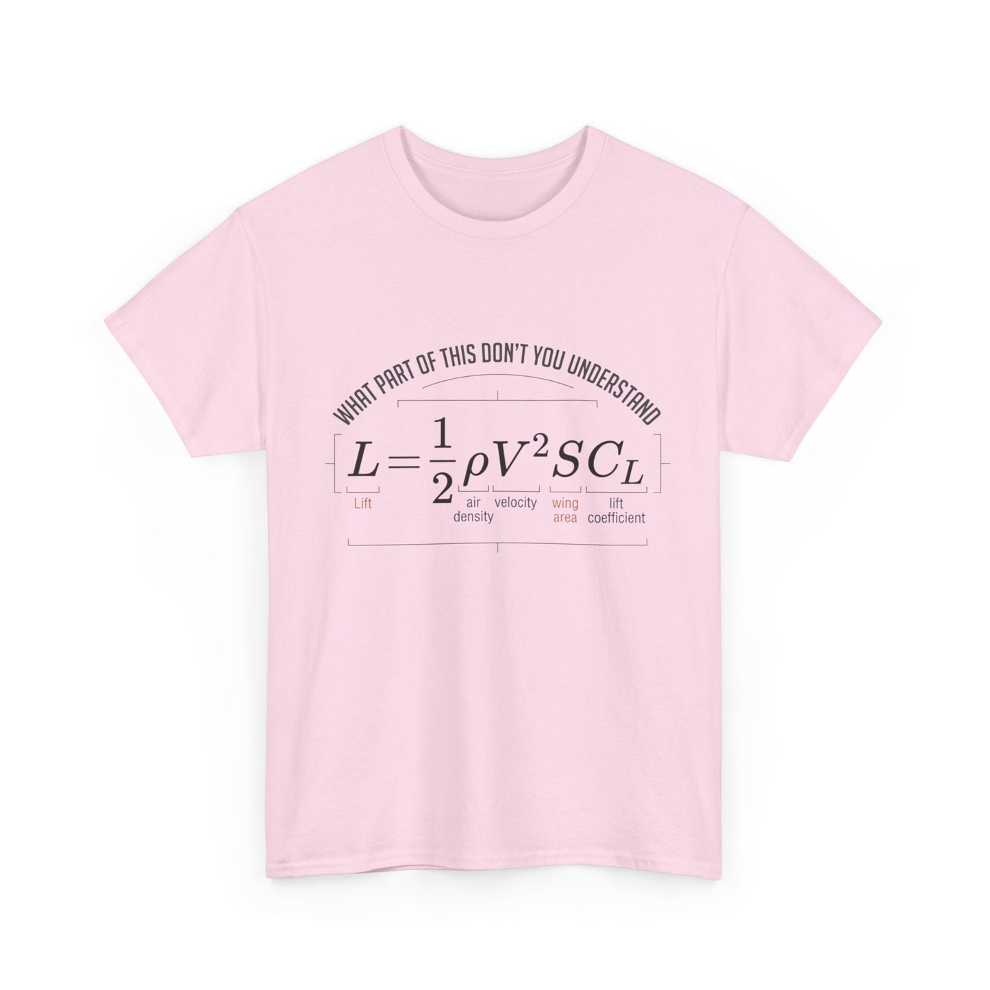 Physics Formula T-Shirt – “What Part of This Don’t You Understand?” Tee