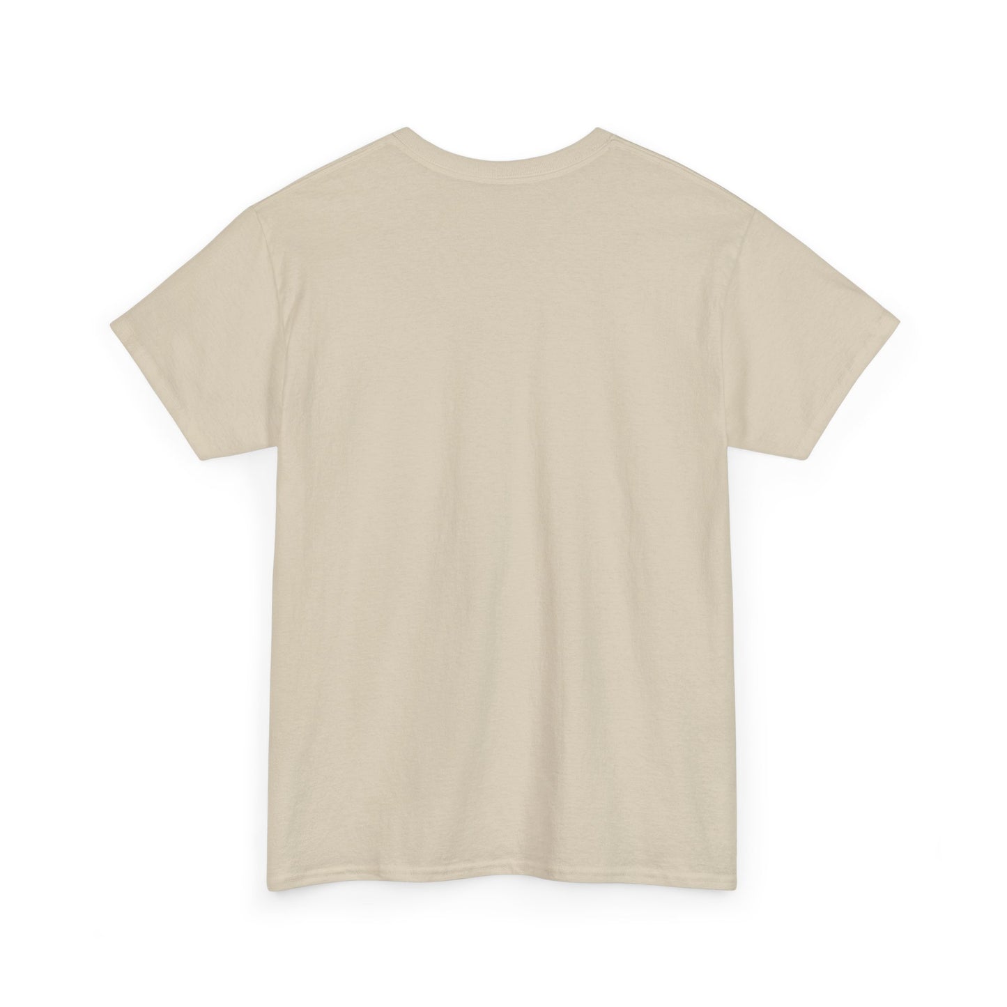 Aviation Vintage Biplane T-Shirt – "In the Fresh Air Not the Armchair" Retro Pilot Tee