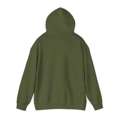 Eurostar EV97 Captain Cool Unisex Heavy Blend™ Hooded Sweatshirt - Funky Aviation