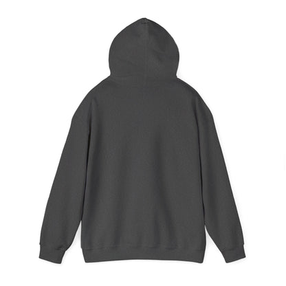 Auto Gyro Helicopter Hoodie