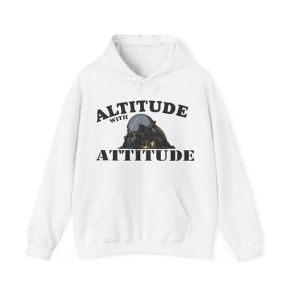 Altitude With Attitude Fighter Pilot Mountain Hoodie